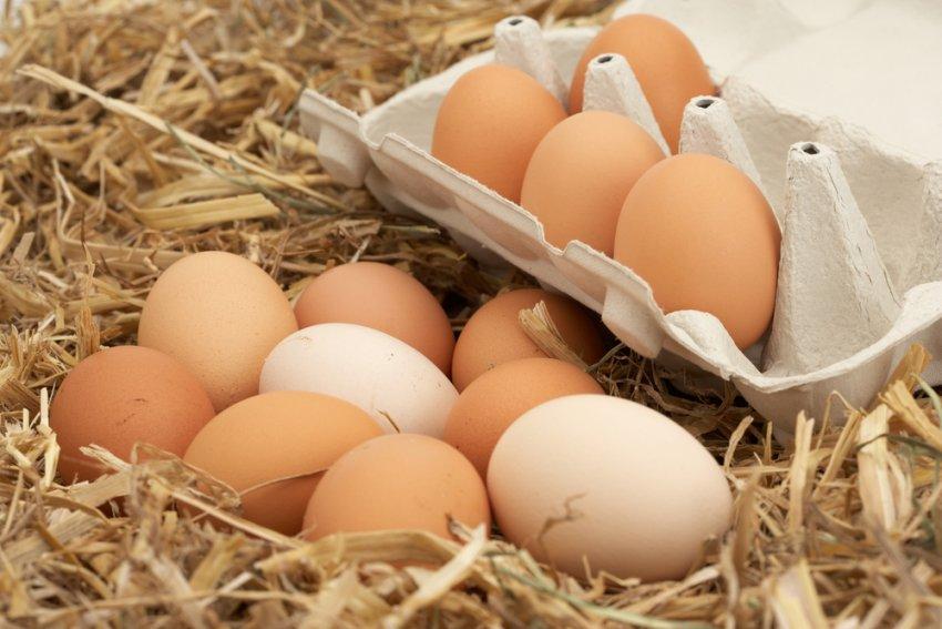 نهاية 2018 : تحديد سعر البيضة الواحدة ب 250 مليم