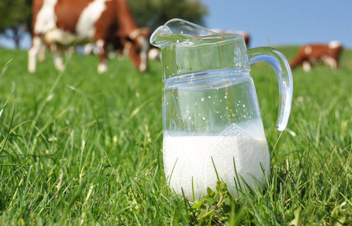 منظمة الدفاع عن المستهلك: "لا خوف من النقص في الحليب"