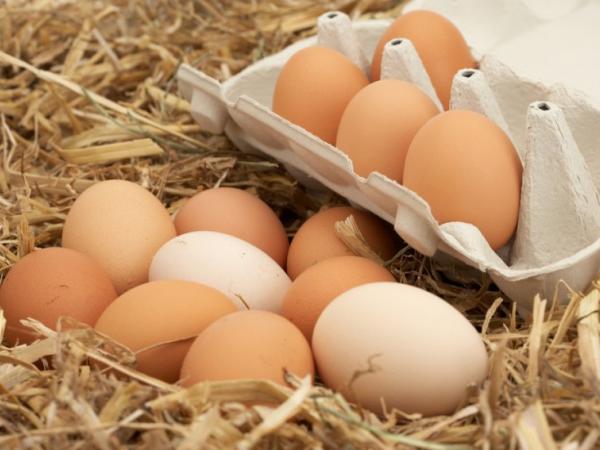 نهاية 2018 : تحديد سعر البيضة الواحدة ب 250 مليم