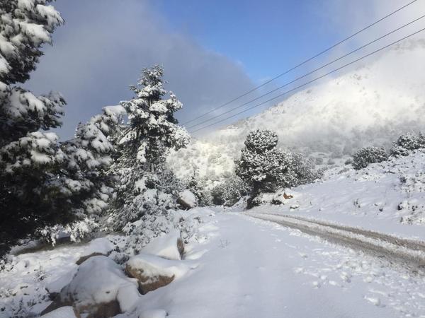 انقطاع حركة المرور بعدد من الطرقات بسبب الثلوج