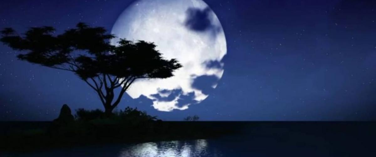 الثلاثاء 25 ديسمبر، دخزل الليالي البيض