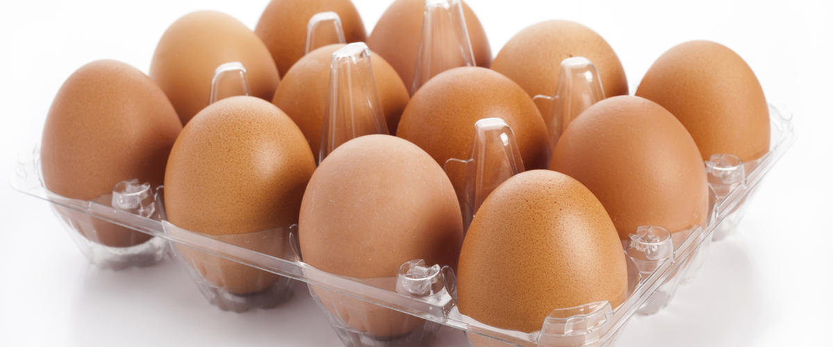 وزارة التجارة تحدّد الأسعار القصوى لبيع البيض