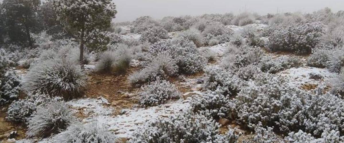 تساقط الثلوج بالمرتفعات الغربية