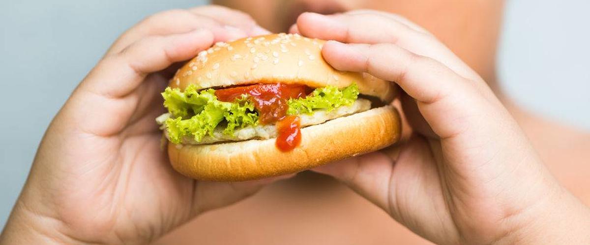 30 بالمائة من التونسيين يعانون من السمنة