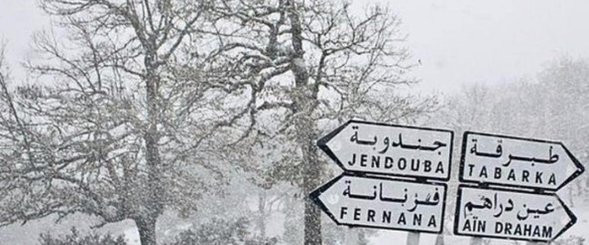 دخول فصل الشتاء:روزنامة التقويم الفلاحي التونسي
