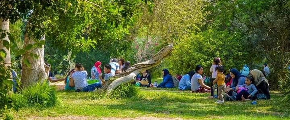  جمعية صفاقس المزيانة تنظم حلقة إفطرار جماعية بحديقة التوتة مفتوحة للعموم