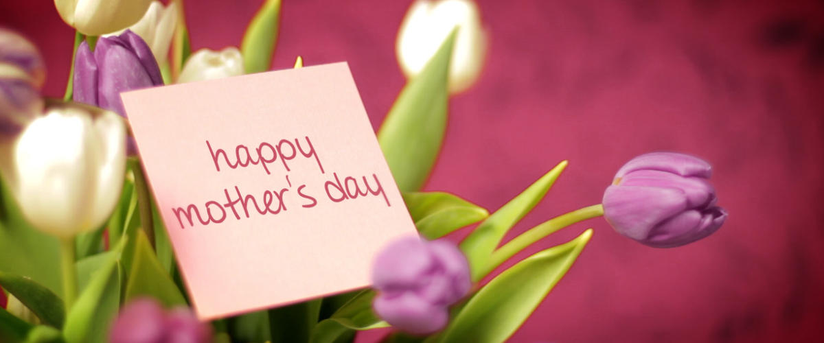 "عيد الأم" في العالم العربي.. ولدت فكرته بسبب أرملة