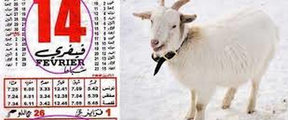 دخول فترة "قرّة العنز" 