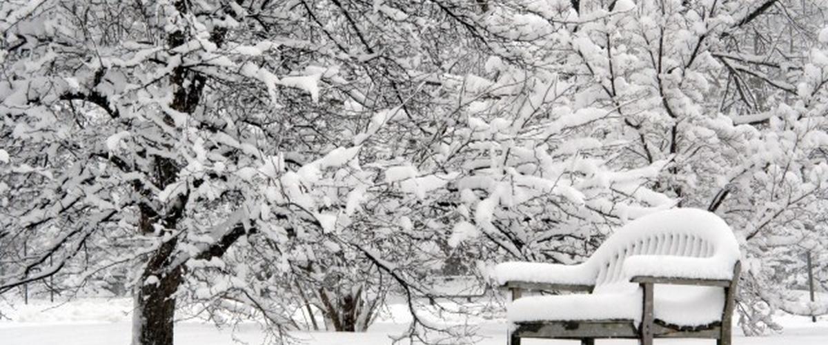 موجة برد جديدة .. ثلوج وأمطار غزيرة