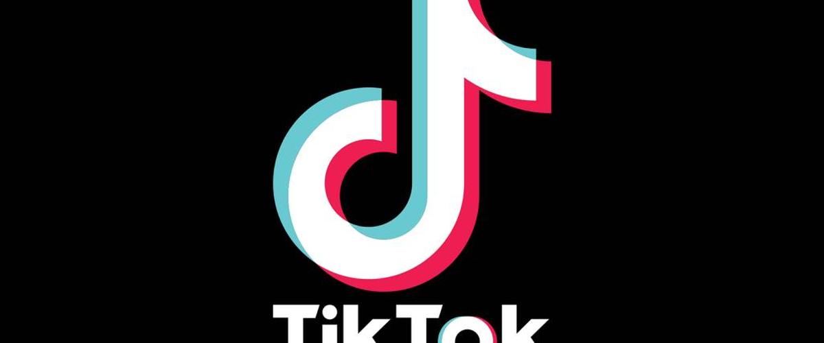 خوفا من الحوت الأزرق.. الجزائر تمنع تطبيق "تيك توك"