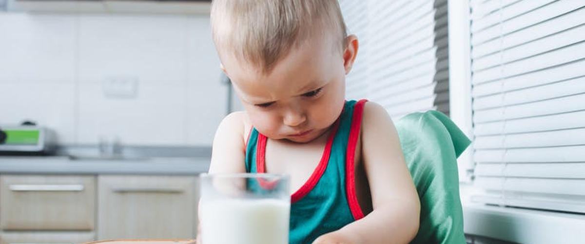 5 مأكولات تحتوي على الكالسيوم أكثر من الحليب