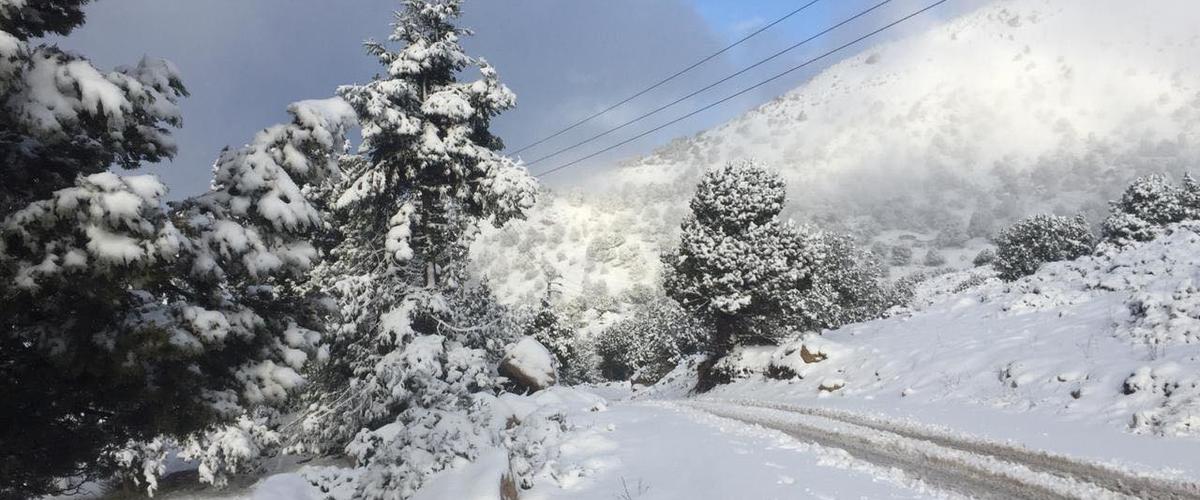 ثلوج ورياح قوية بداية من مساء الأربعاء 23 جانفي